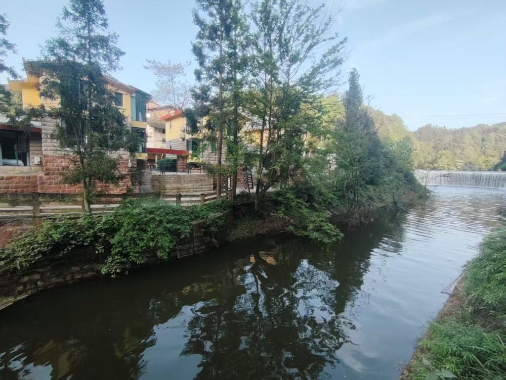 江津区商务委与市级行业协会负责人座谈交流 36 民宿水景